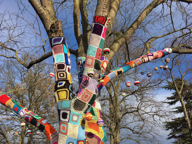 Big Elm covered in crochet yarnbombing